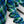 Sneakers Alta in pelle bianca Calipso laccio blu multi,   CRISTIANZEROTRE, CR03.